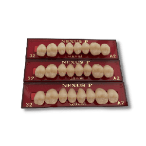 Răng composite cối trên (màu B)