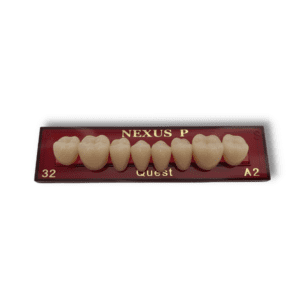 Răng composite cối dưới (màu A)