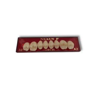 Răng composite cối trên (màu B)